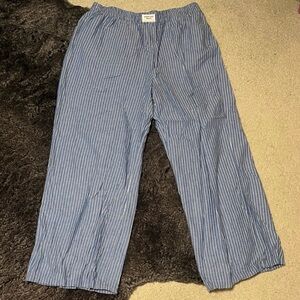 American Eagle Outfitters Blue Striped Pants